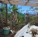 RISEUP Continues to Install Temp Roofs in Guam