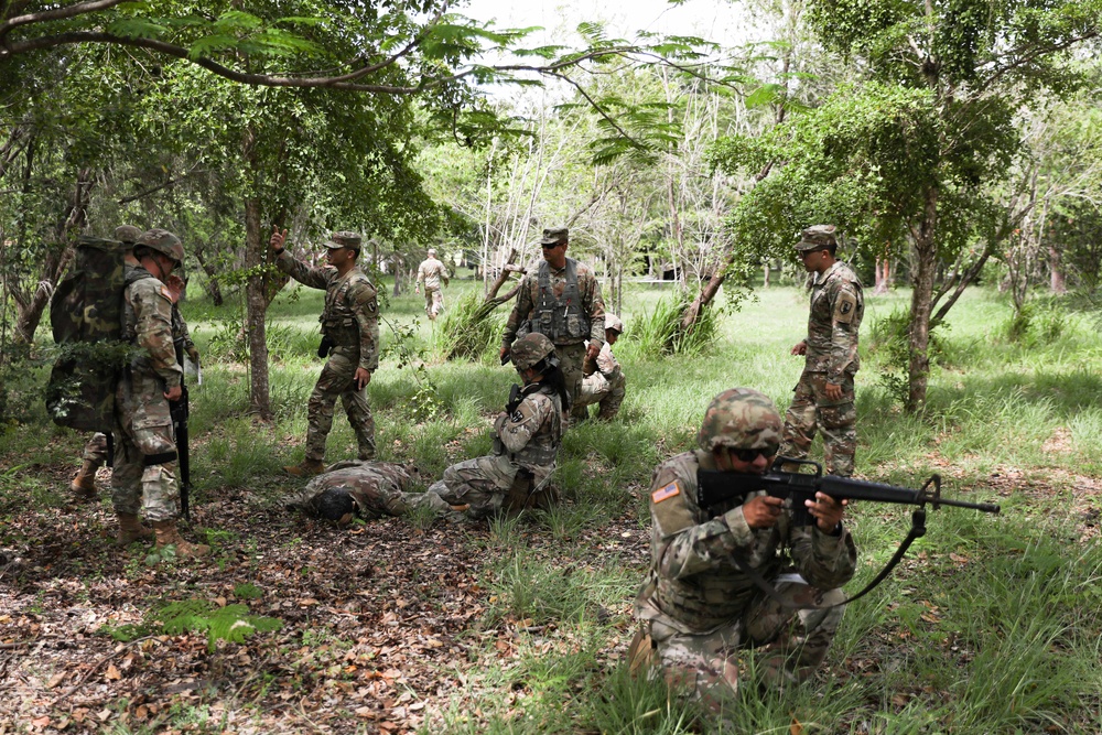 Soldiers of 101st Troop Command Conduct CLS Lanes