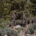 MTX 4-23: Marines with 2nd Battalion, 23d Marine Regiment conduct terrain association training at Mountain Warfare Training Center