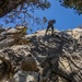 MTX 4-23: Marines with 2/23 practice rappelling at Mountain Warfare Training Center