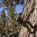 MTX 4-23: Marines with 2/23 practice rappelling at Mountain Warfare Training Center