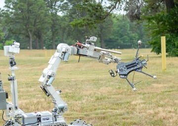 Dastardly Devil 23-01