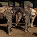 MTX 4-23: Marines with CLB 453 practice Animal Packing at Mountain Warfare Training Center