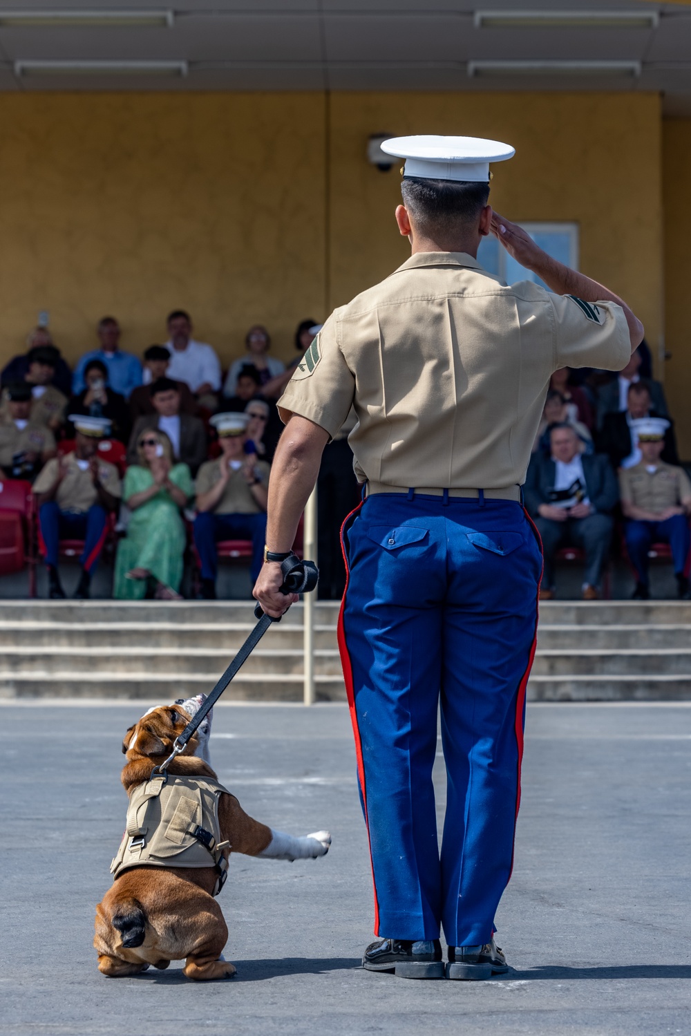 Echo Company Graduation