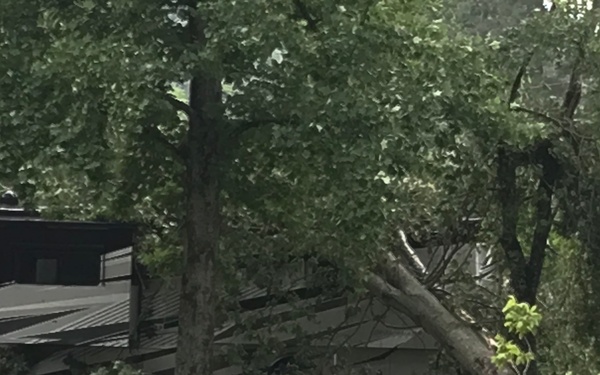Celina Storm Damage Causes Closings at Dale Hollow Damsite