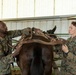 MTX 4-23: Animal Packing at Mountain Warfare Training Center