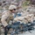 4-23: Bravo Co. 1st Battalion 23D Marines execute Range 400