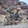 4-23: Bravo Co. 1st Battalion 23D Marines execute Range 400
