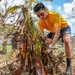 USS Shiloh Sailors Participate in Cleanup after Typhoon Mawar