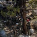 MTX 4-23: Marines with 2/23 practice gorge crossing at Mountain Warfare Training Center