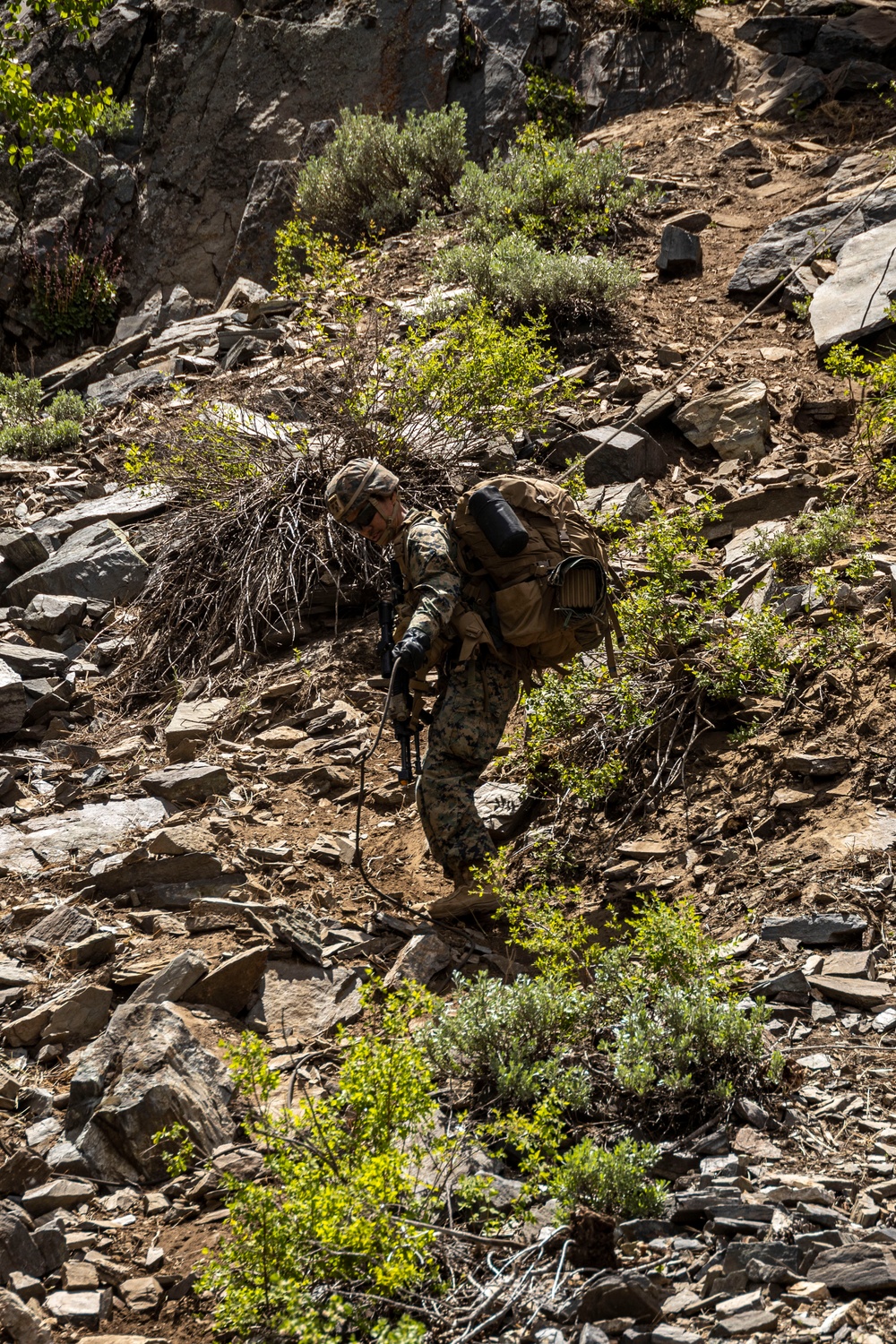 MTX 4-23: Marines with 2/23 practice fixed lane ascension and descension at Mountain Warfare Training Center