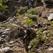 MTX 4-23: Marines with 2/23 practice fixed lane ascension and descension at Mountain Warfare Training Center
