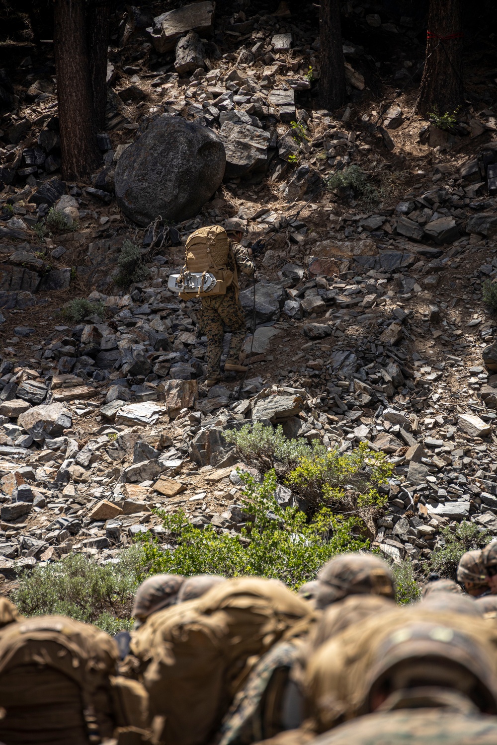 MTX 4-23: Marines with 2/23 practice fixed lane ascension and descension at Mountain Warfare Training Center