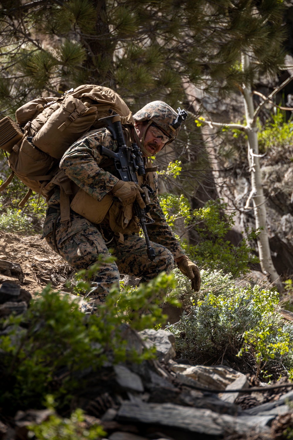 MTX 4-23: Marines with 2nd Battalion, 23d Marines practice fixed lane ascension and descension at Mountain Warfare Training Center