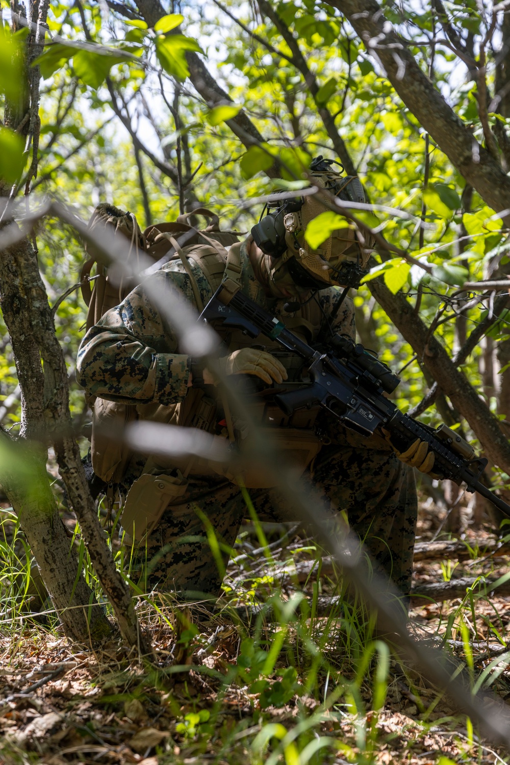 1st ANGLICO: US-ROK Close Air Support