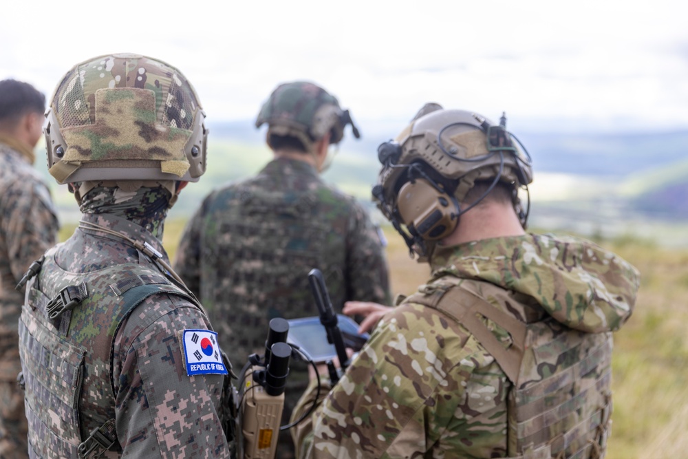 1st ANGLICO: US-ROK Close Air Support
