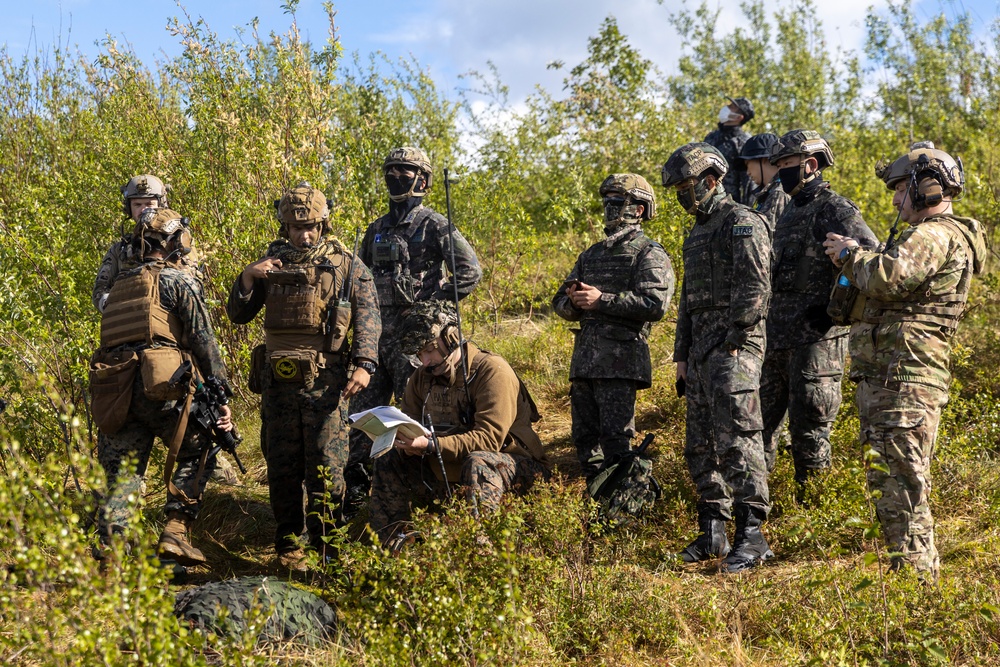 1st ANGLICO: US-ROK Close Air Support