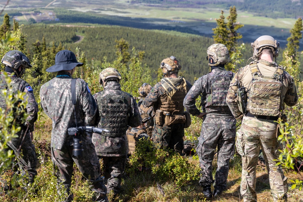 1st ANGLICO: US-ROK Close Air Support