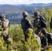 1st ANGLICO: US-ROK training event