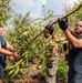 USS Shiloh Sailors Participate in Cleanup after Typhoon Mawar