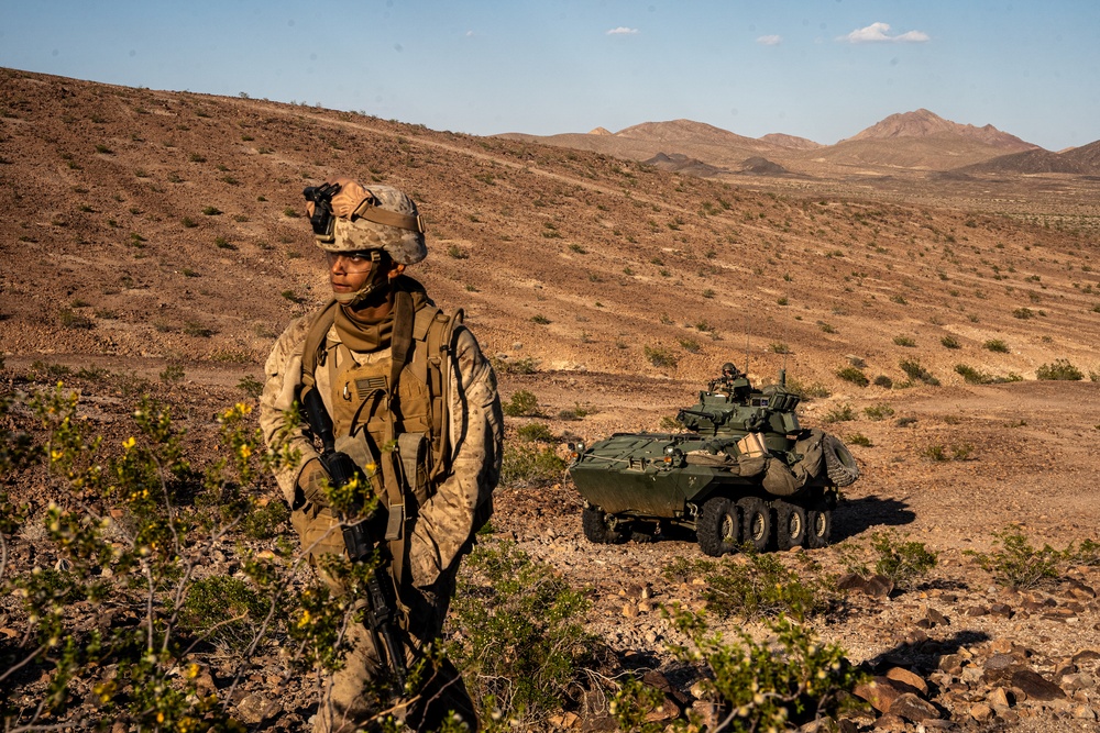 ITX 4-23 4th Light Armored Reconnaissance at Training Area Lava
