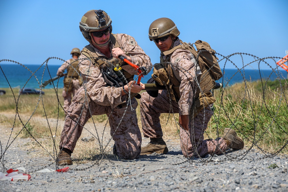 1st CEB and 1st EOD participate in integrated littoral ordnance disposal and explosive breaching