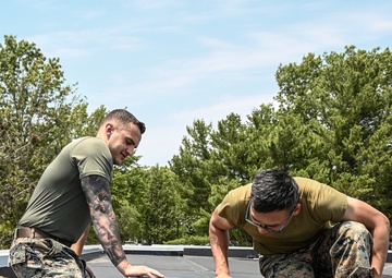 Operation Healthy Delta IRT