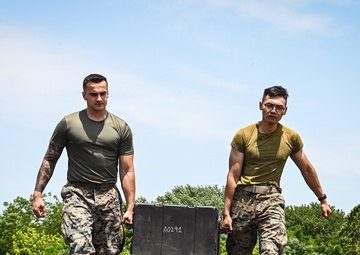 Operation Healthy Delta IRT