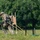 93 AGOW TACPs compete in Dragon Challenge 2023