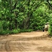 411th Engineers bring road-building skills to Fort McCoy troop project