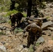 MTX 4-23: Marines with 2/23 begin the final training event of MTX at Mountain Warfare Training Center