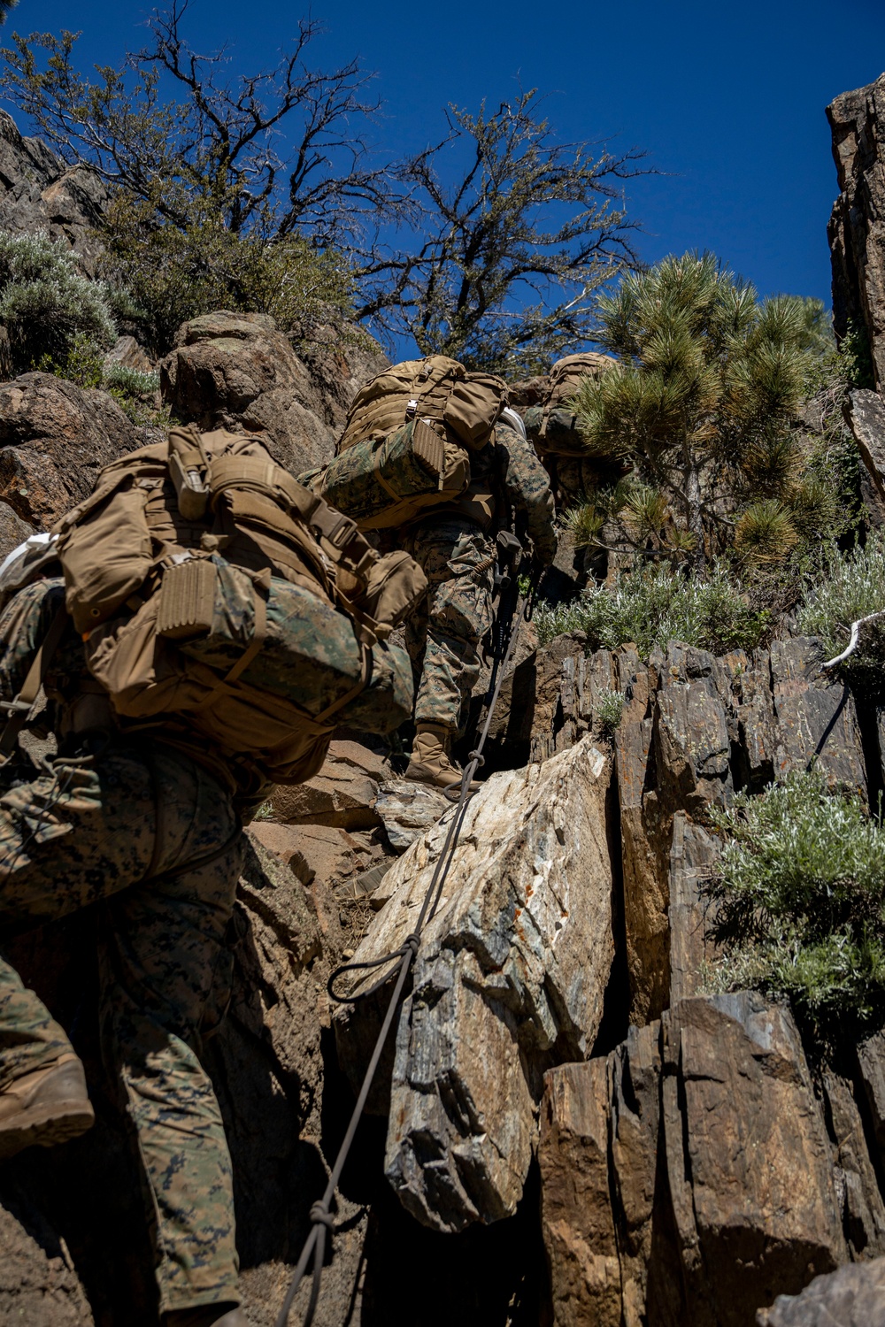 MTX 4-23: Marines with 2/23 begin the final training event of MTX at Mountain Warfare Training Center