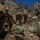 MTX 4-23: Marines with 2/23 begin the final training event of MTX at Mountain Warfare Training Center MTX 4-23: Marines with 2/23 begin the final training event of MTX at Mountain Warfare Training Center