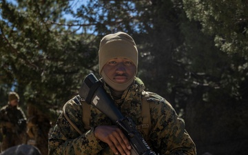 MTX 4-23: Marines with 2nd Battalion, 23d Marines begin the final training event of MTX at Mountain Warfare Training Center