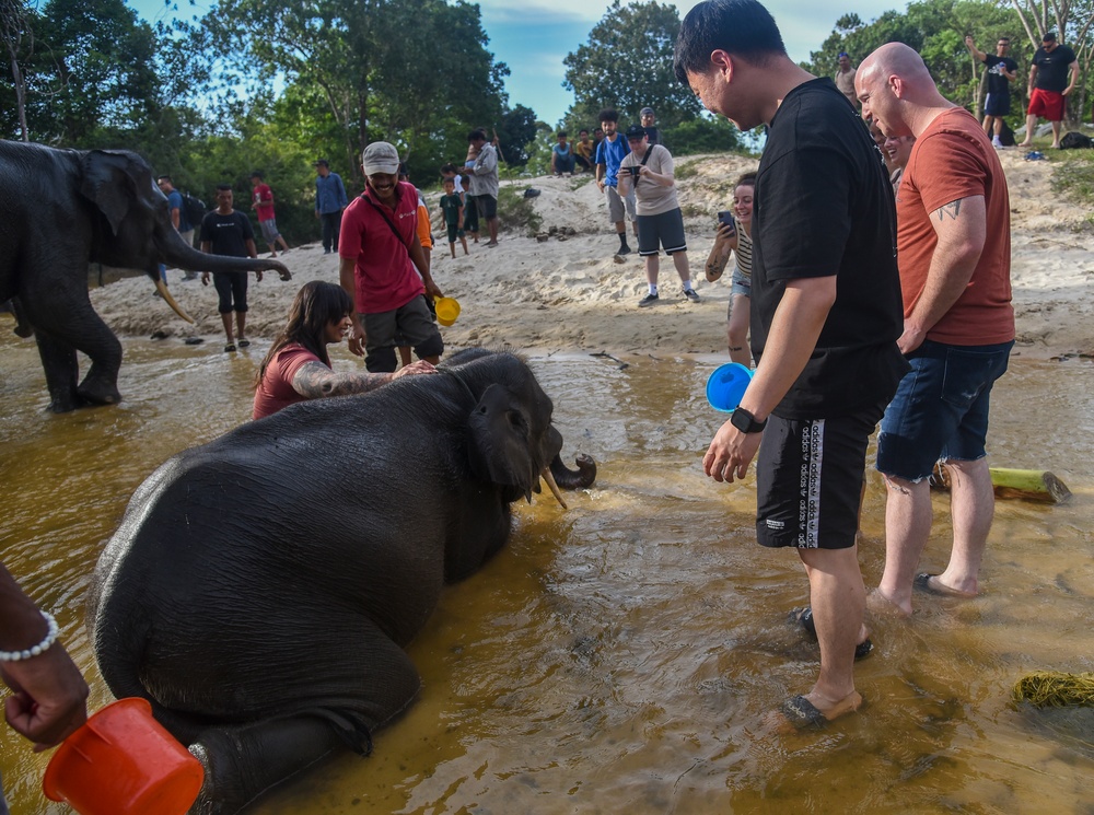 US Airmen visit Elephant Training Center in Indonesia