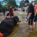 US Airmen visit Elephant Training Center in Indonesia