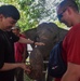 US Airmen visit Elephant Training Center in Indonesia