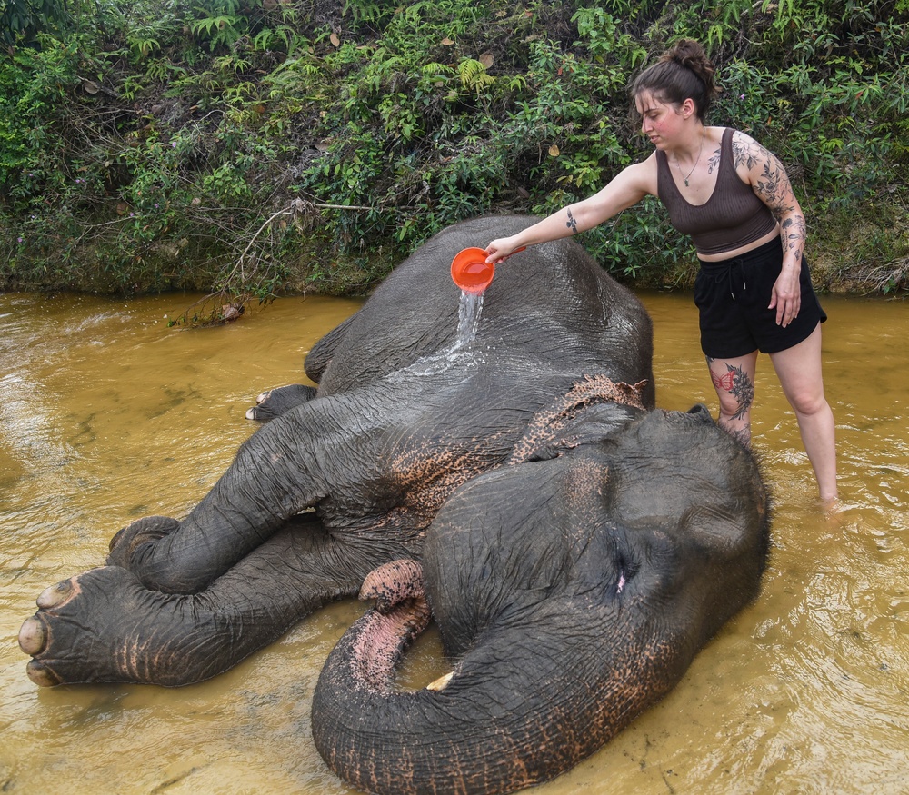 US Airmen visit Elephant Training Center in Indonesia