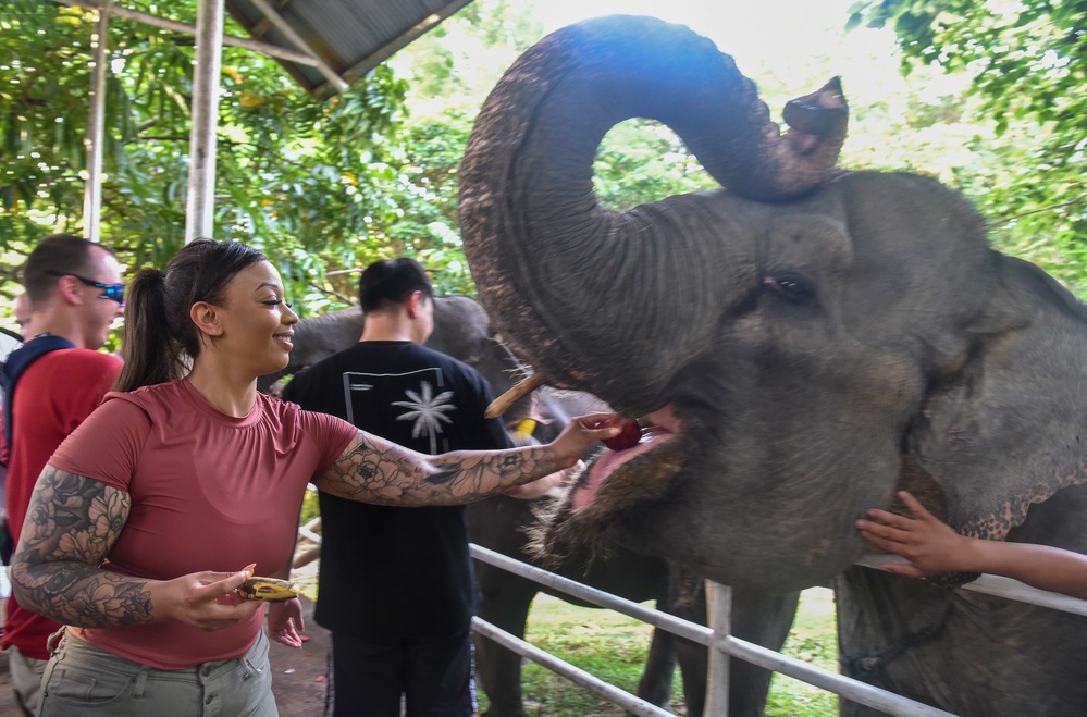 US Airmen visit Elephant Training Center in Indonesia