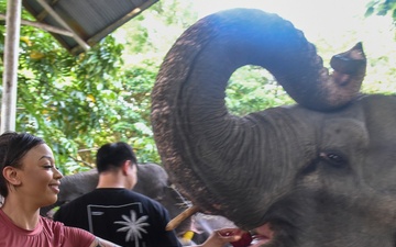 US Airmen visit Elephant Training Center in Indonesia