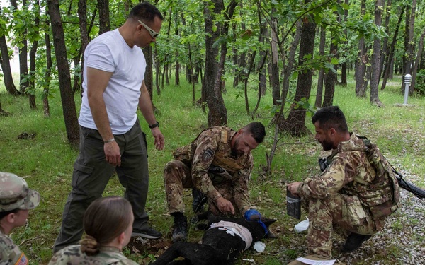 KFOR conducts K9 point of injury care training