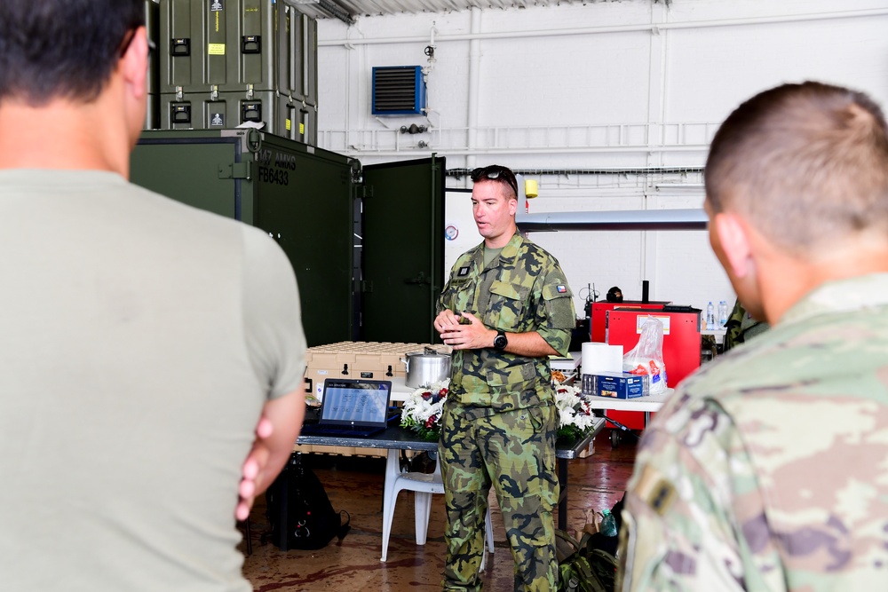 147 Attack Wing continues Exercise Air Defender in Czech Republic