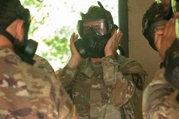 Family and fate lead to two Army paths during CST