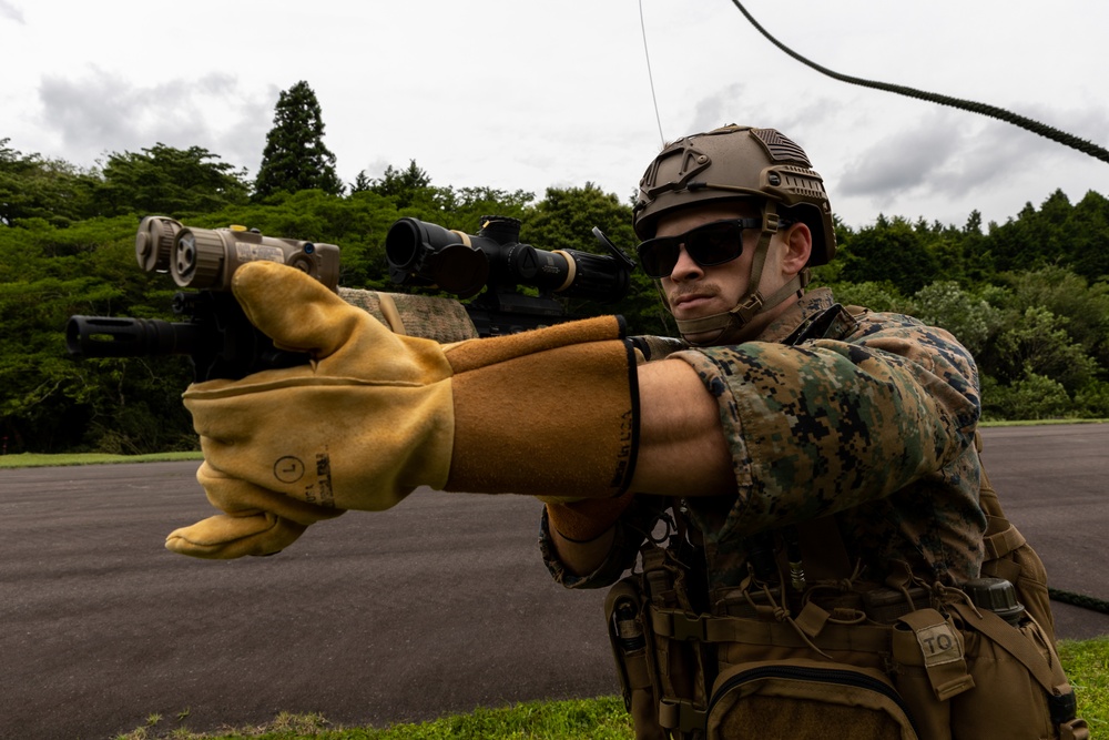 Fuji Viper 23| 3rd Recon Battalion and HMLA 169 Conduct Fast Rope Training