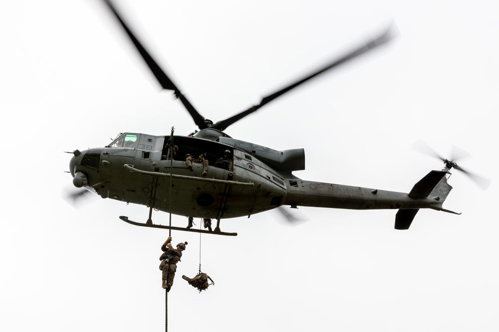 Fuji Viper 23| 3rd Recon Battalion and HMLA 169 Conduct Fast Rope Training