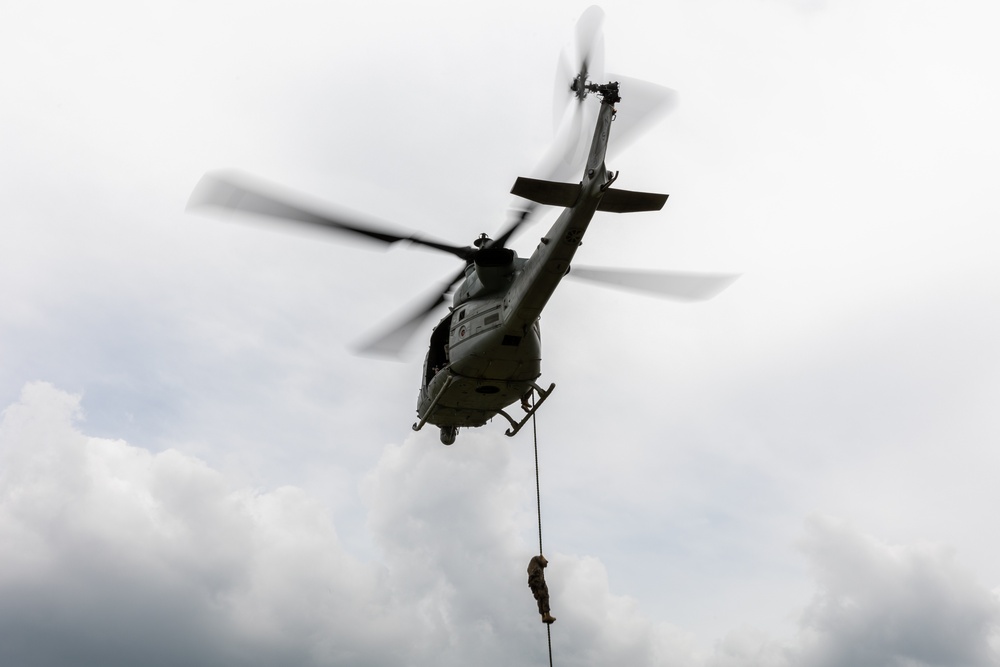 Fuji Viper 23| 3rd Recon Battalion and HMLA 169 Conduct Fast Rope Training