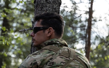 Subarctic spring: 10th SFG (A) Green Berets train tactics, techniques with Swedish Home Guard