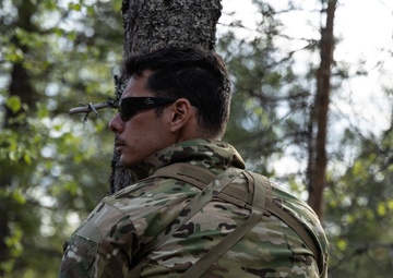 Subarctic spring: 10th SFG (A) Green Berets train tactics, techniques with Swedish Home Guard