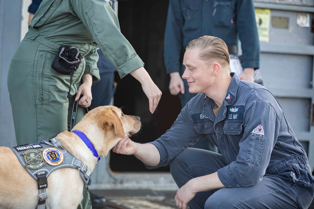 Ford Facility Dog Sage Visits USS Normandy