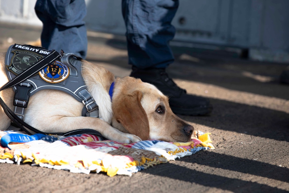 Ford Facility Dog Sage Visits USS Normandy